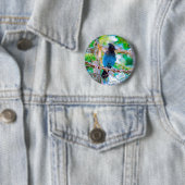 Steller's Jay - Original Foto Button (Beispiel)