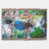 Steller's Jay - Original Foto Decke (Vorderseite)