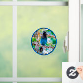 Steller's Jay - Original Foto Fensteraufkleber (Zuhause)
