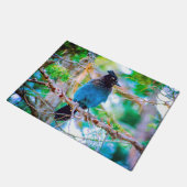 Steller's Jay - Original Foto Fußmatte (Schrägansicht)