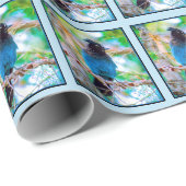 Steller's Jay - Original Foto Geschenkpapier (Rolleneckpunkt)