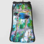 Steller's Jay - Original Foto Golf Headcover (Rotieren 90)