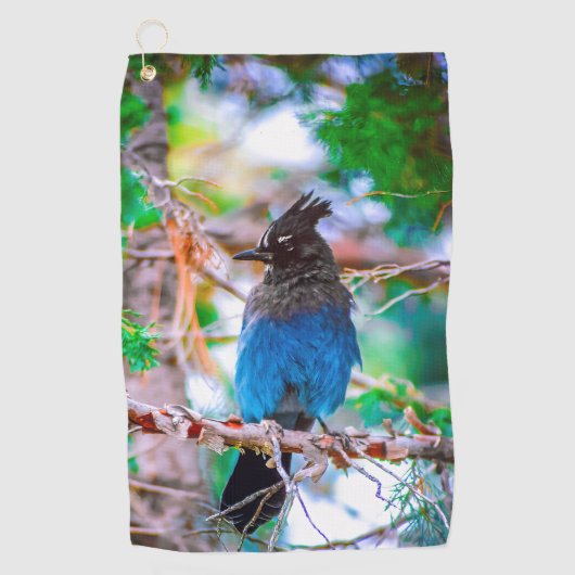 Steller's Jay - Original Foto Golfhandtuch (Vorderseite)