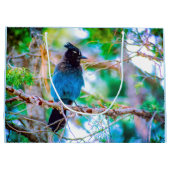 Steller's Jay - Original Foto Große Geschenktüte (Rückseite)