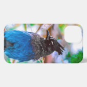 Steller's Jay - Original Foto iPhone Hülle (Rückseite (Horizontal))