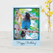 Steller's Jay - Original Foto Karte (Gelbe Blume)