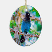 Steller's Jay - Original Foto Keramik Ornament (Rechts)