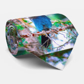 Steller's Jay - Original Foto Krawatte (Gerollt)