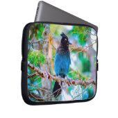 Steller's Jay - Original Foto Laptopschutzhülle (Vorne Rechts)