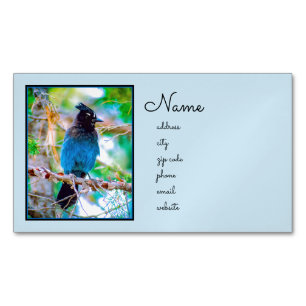 Steller's Jay - Original Foto Magnetische Visitenkarte