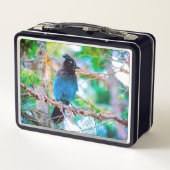 Steller's Jay - Original Foto Metall Brotdose (Rückseite)