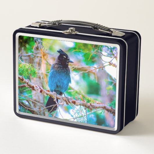 Steller's Jay - Original Foto Metall Brotdose (Vorderseite)