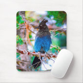 Steller's Jay - Original Foto Mousepad (Mit Mouse)