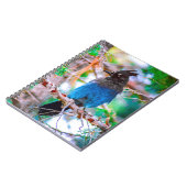 Steller's Jay - Original Foto Notizblock (Linke Seite)