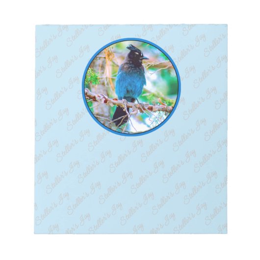 Steller's Jay - Original Foto Notizblock (Vorderseite)