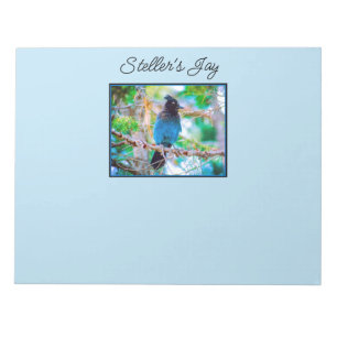 Steller's Jay - Original Foto Notizblock
