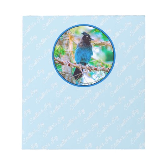 Steller's Jay - Original Foto Notizblock (Vorderseite)