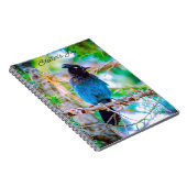 Steller's Jay - Original Foto Notizblock (Rechte Seite)
