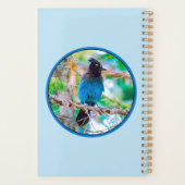 Steller's Jay - Original Foto Planer (Rückseite)