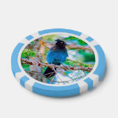 Steller's Jay - Original Foto Pokerchips (Einzeln)
