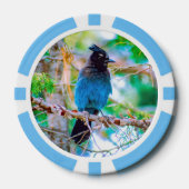 Steller's Jay - Original Foto Pokerchips (Vorderseite)