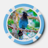 Steller's Jay - Original Foto Pokerchips (Rückseite)