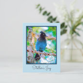 Steller's Jay - Original Foto Postkarte (Stehend Vorderseite)