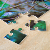 Steller's Jay - Original Foto Puzzle (Seite)