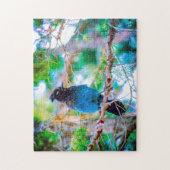 Steller's Jay - Original Foto Puzzle (Vertikal)