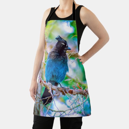 Steller's Jay - Original Foto Schürze (InSitu)