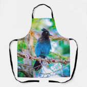 Steller's Jay - Original Foto Schürze (Vorderseite)
