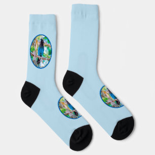 Steller's Jay - Original Foto Socken