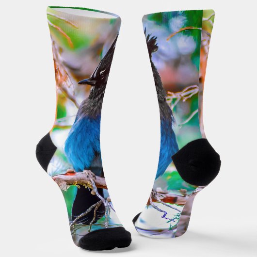 Steller's Jay - Original Foto Socken (Gewinkelt)