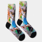 Steller's Jay - Original Foto Socken (Rechts)