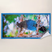 Steller's Jay - Original Foto Strandtuch (Vorderseite)