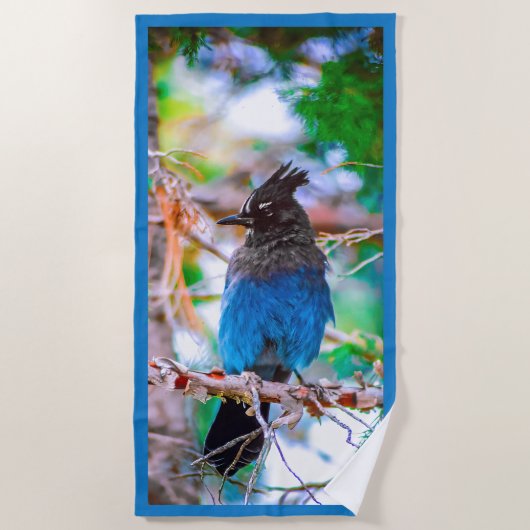 Steller's Jay - Original Foto Strandtuch (Vorderseite)