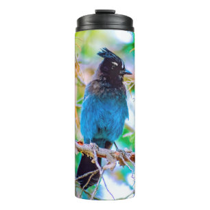 Steller's Jay - Original Foto Thermosbecher