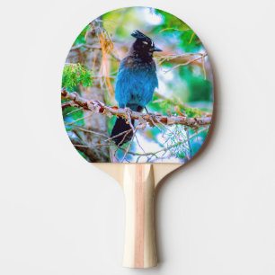 Steller's Jay - Original Foto Tischtennis Schläger