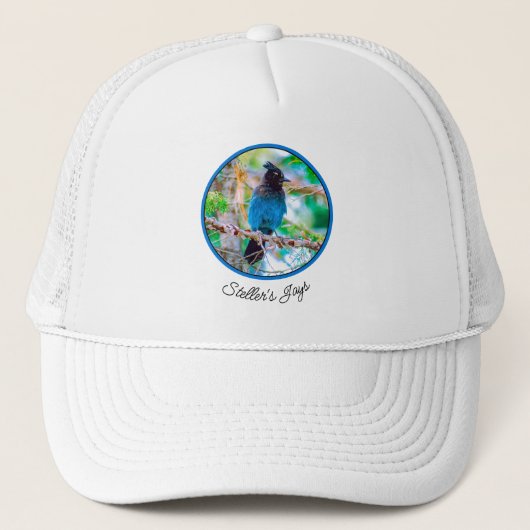 Steller's Jay - Original Foto Truckerkappe (Vorderseite)