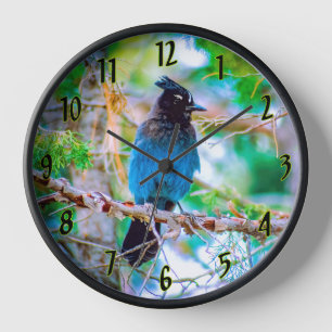 Steller's Jay - Original Foto Uhr