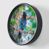 Steller's Jay - Original Foto Uhr (Winkel)