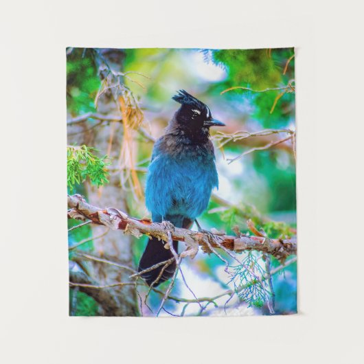 Steller's Jay - Original Foto Wandteppich (Vorderseite)