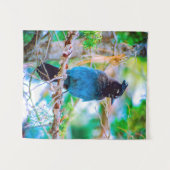 Steller's Jay - Original Foto Wandteppich (Vorderseite (Horizontal))