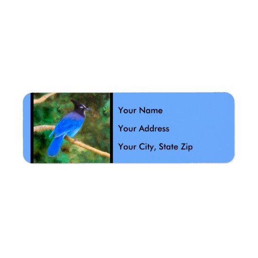 Steller's Jay Painting - Original Bird Art (Vorne)