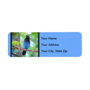 Steller's Jay Painting - Original Bird Art