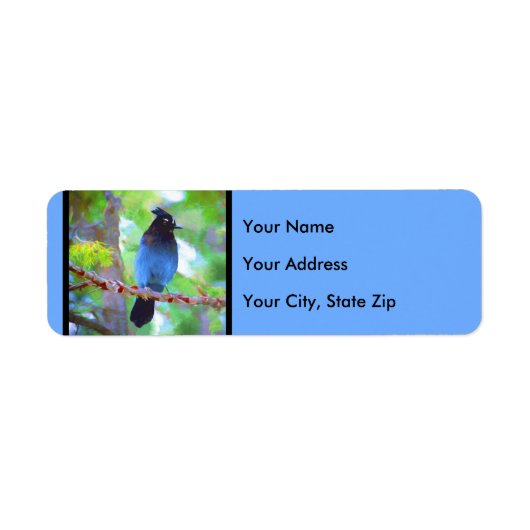 Steller's Jay Painting - Original Bird Art (Vorne)