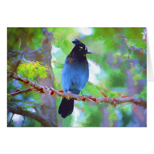 Steller's Jay Painting - Original Bird Art (Vorderseite (Horizontal))