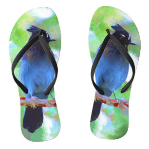 Steller's Jay Painting - Original Bird Art Badesandalen