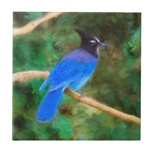 Steller's Jay Painting - Original Bird Art Fliese