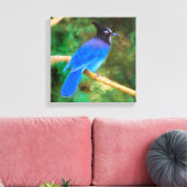 Steller's Jay Painting - Original Bird Art Leinwanddruck (Insitu (Wohnzimmer))
